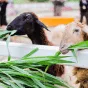搜索赛事 - 九游体育官网